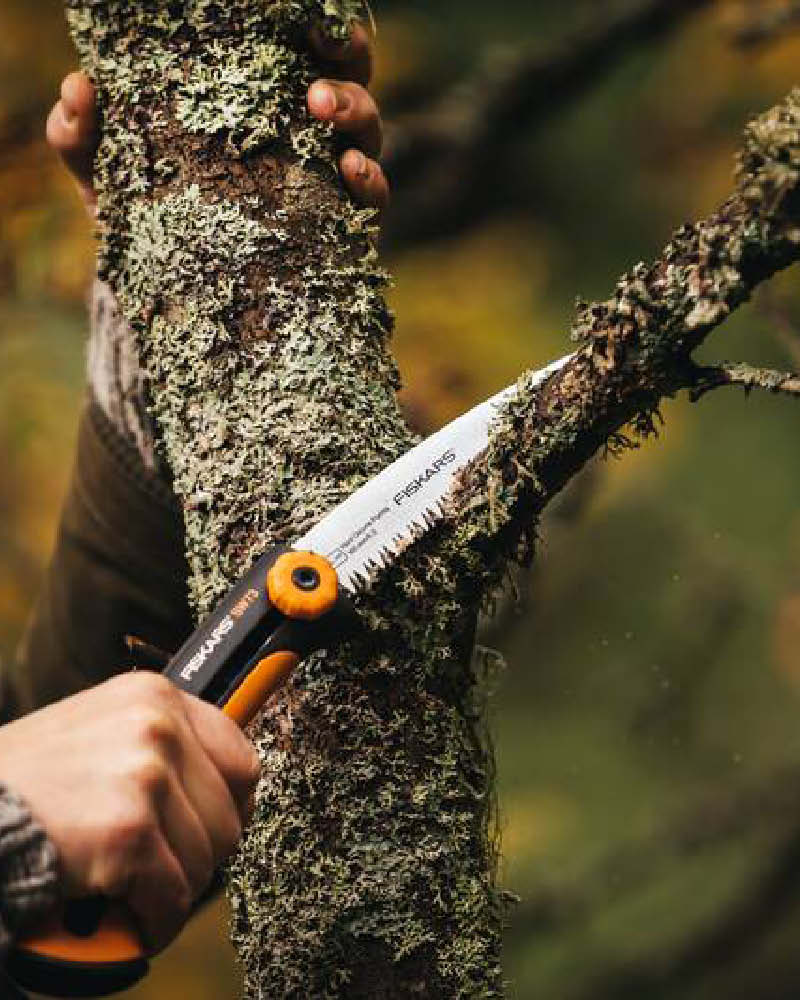 2025_BLOG_2erBox_800x1000px_zurckschneiden_(1)