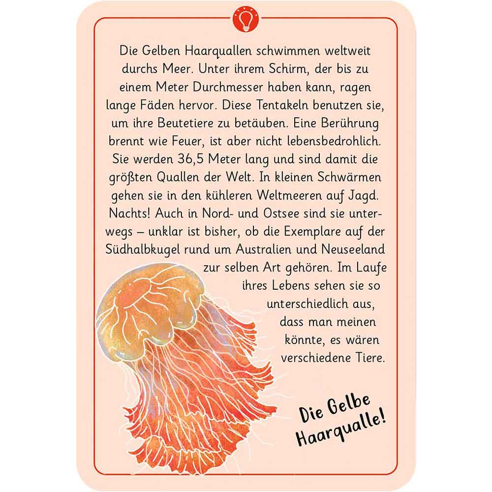 Moses Kartenset 50 Tierrätsel - Rekorde "Expedition Natur"