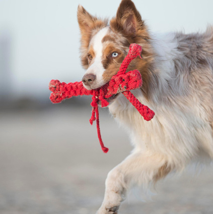 2024_BRANDSHOP_PAGE_423x424px_Laboni