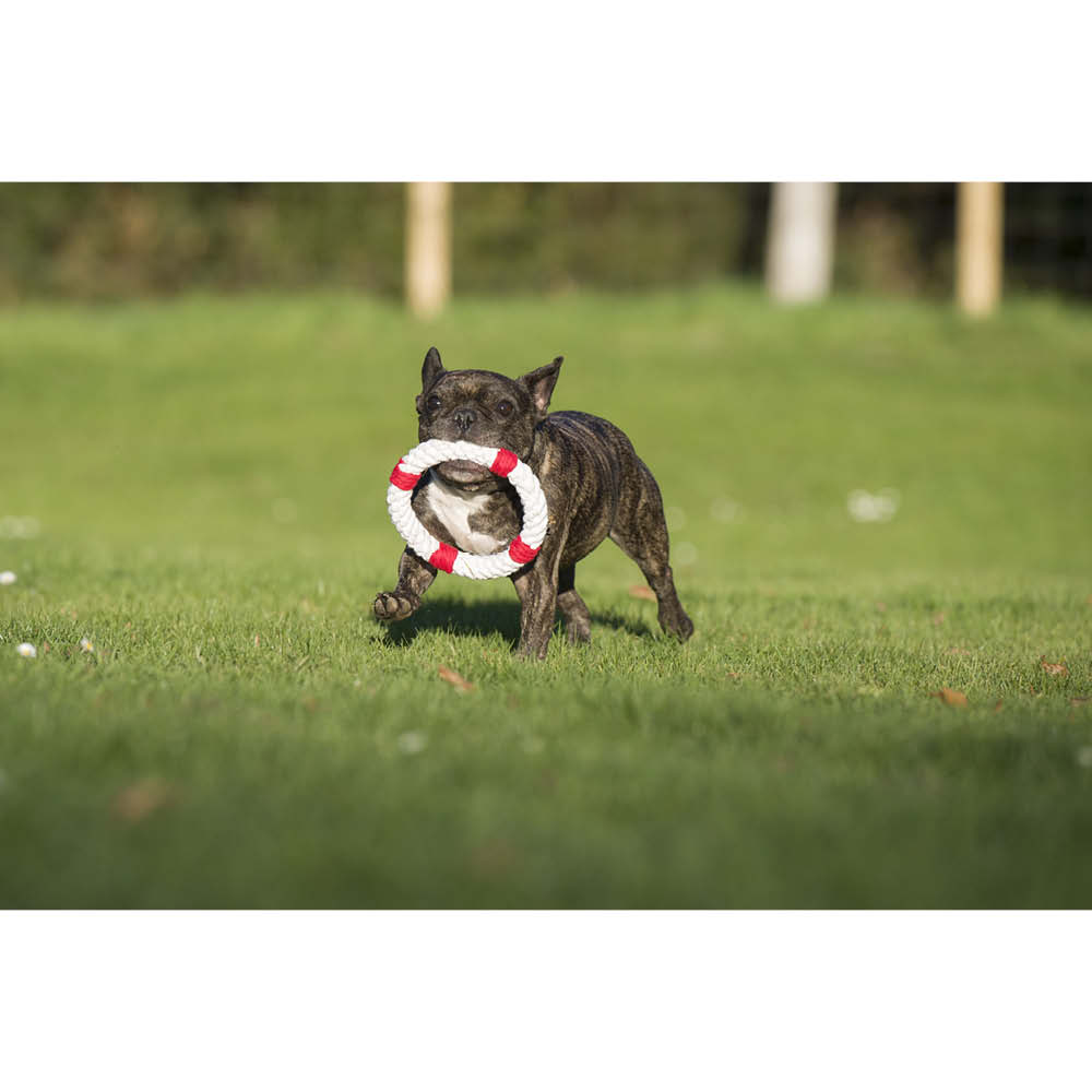 Laboni Kultspielzeug für Hunde "Rita Rettungsring" 591301