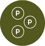 ICONS_VORLAGE_GR-SSE_VTK_PunktesammelnDay7xyMtrVVzq_800x800@2x