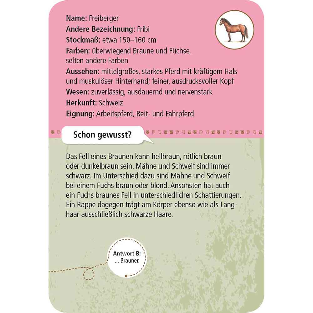 Moses Kartenset 50 Pferde & Ponys "Expedition Natur"