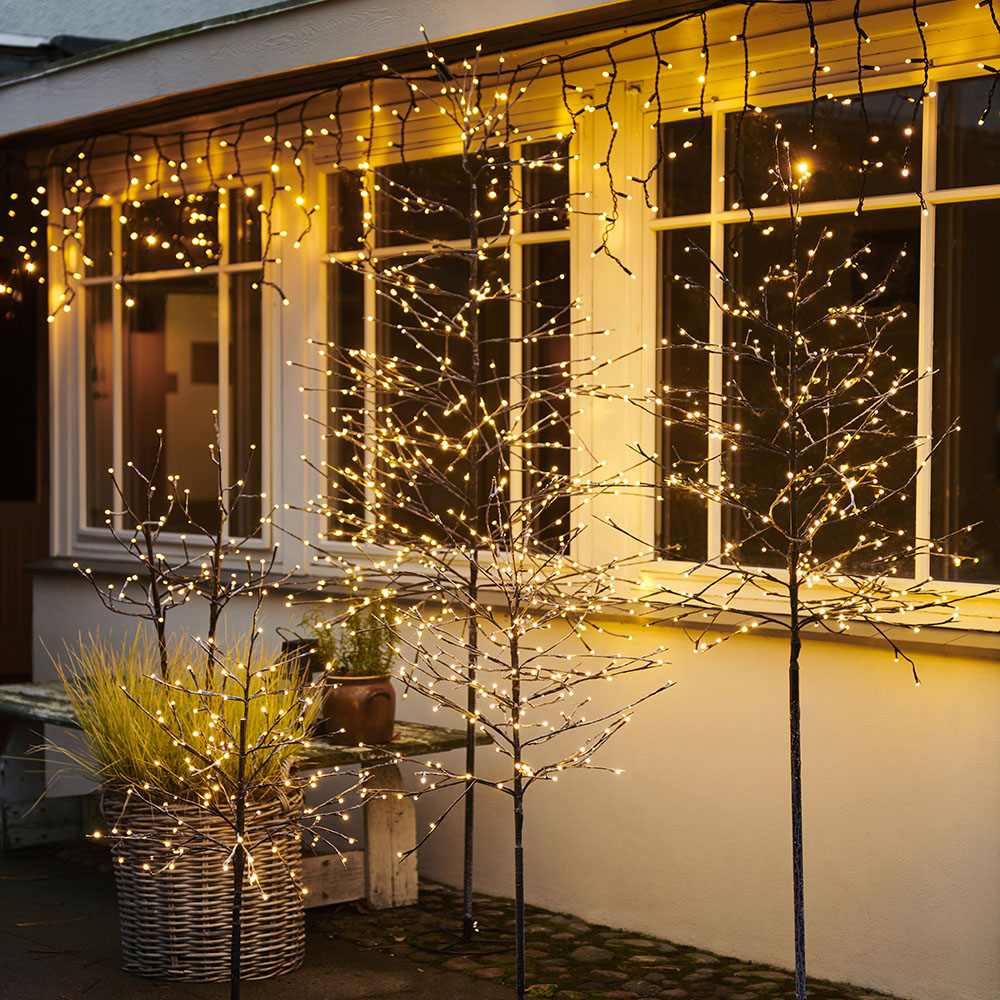 Sirius Alex Tree 532635