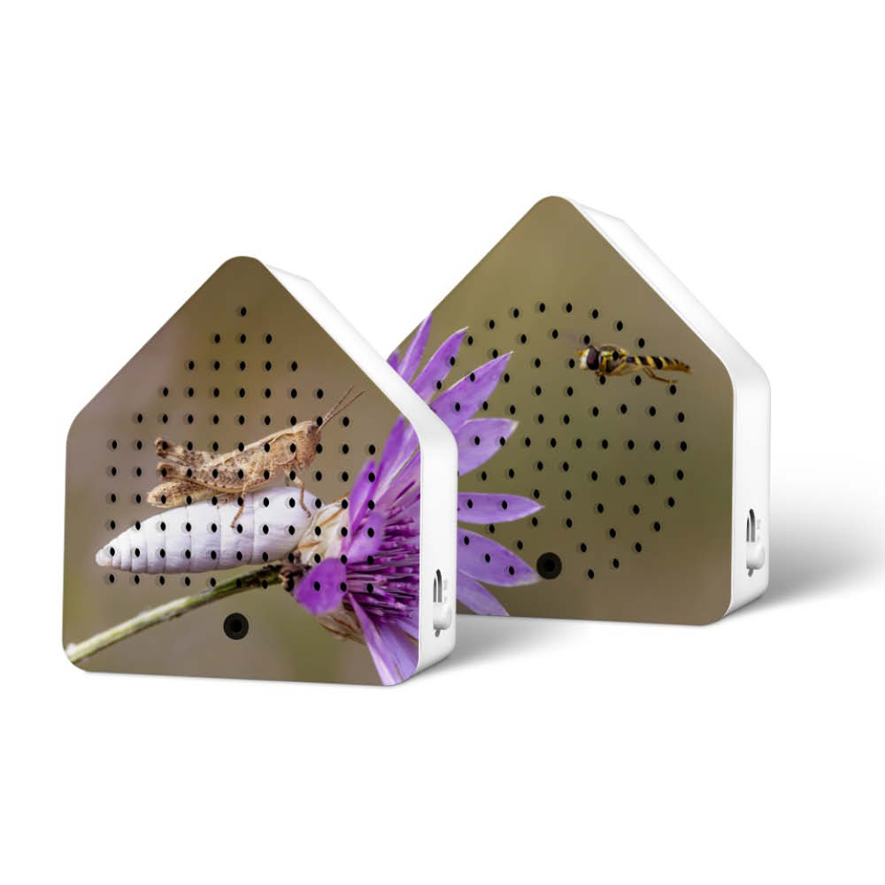 Relaxound Zirpybox "Grasshopper & Bee" 637846