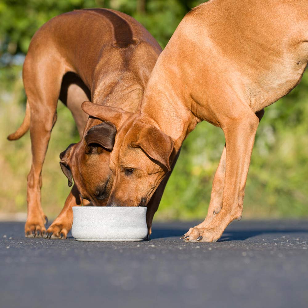 edel-napf_rocky_stein_7