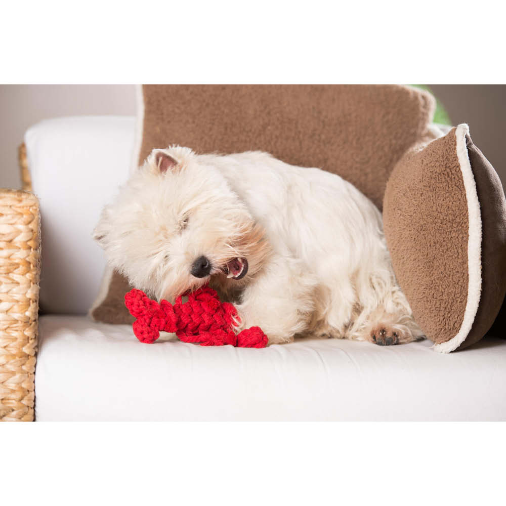 Laboni Kultspielzeug für Hunde "Hugo Hummer Jr." 591303