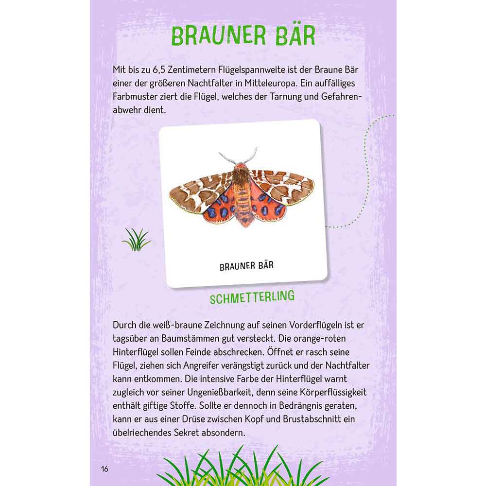 Moses Das große Insekten Memo "Expedition Natur"