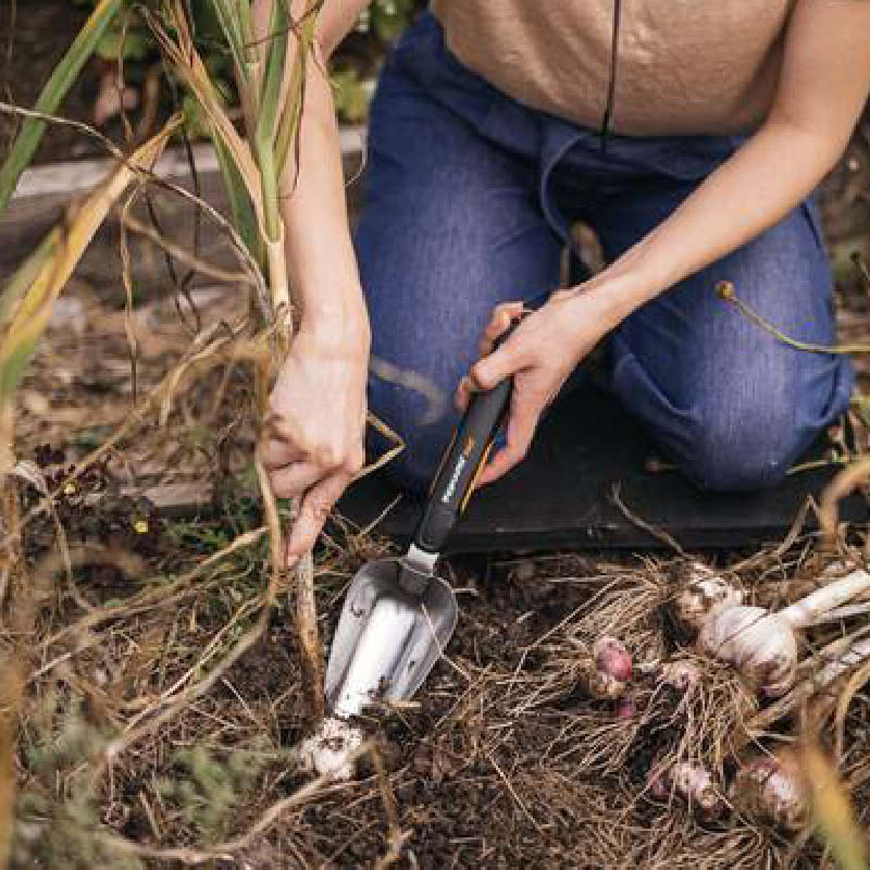 2025_BLOG_2erBox_800x1000px_letzteHandgriffe4