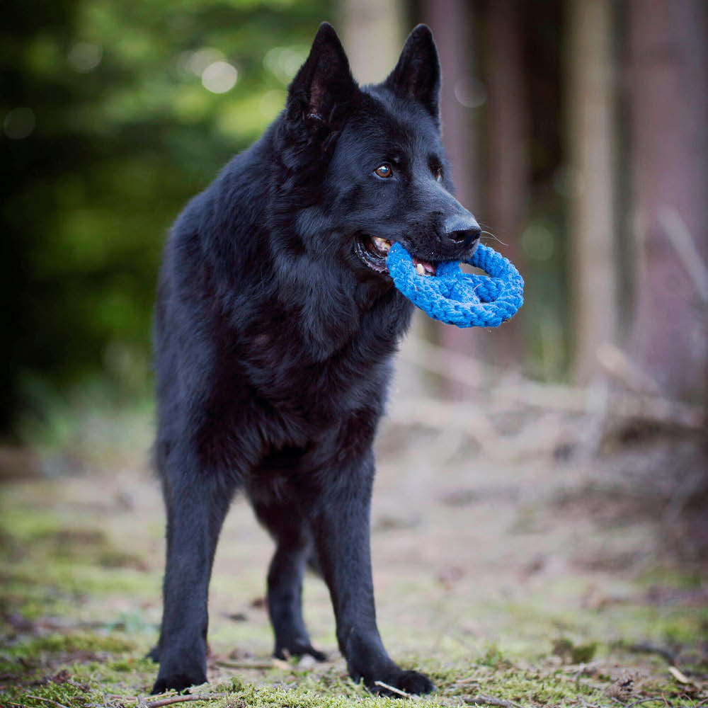Laboni Kultspielzeug für Hunde "Paulchen Peace" 591308