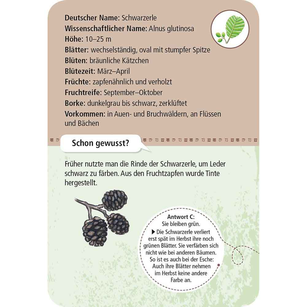 Moses Kartenset 50 heimische Bäume "Expedition Natur"