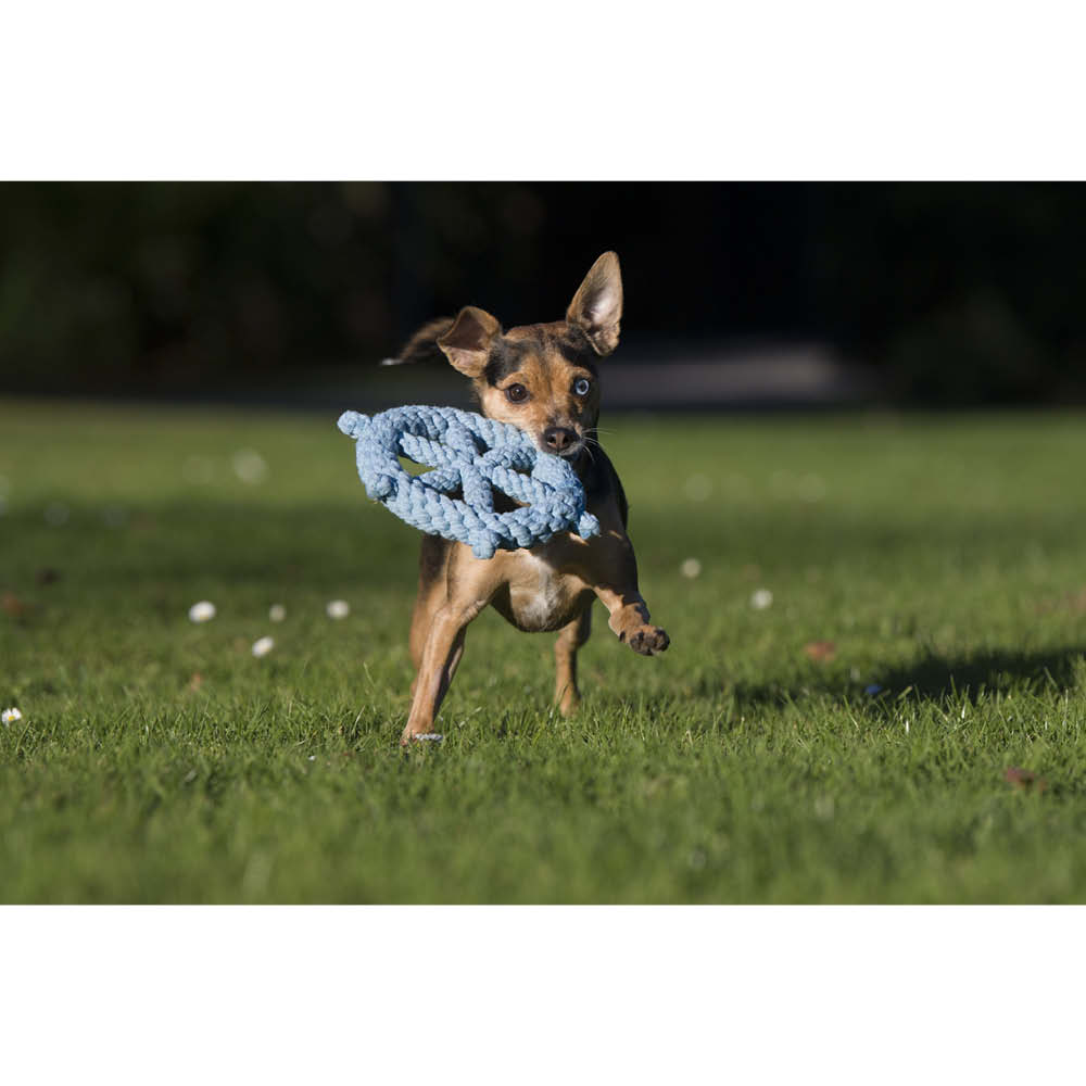 Laboni Kultspielzeug für Hunde "Skipper" 591320