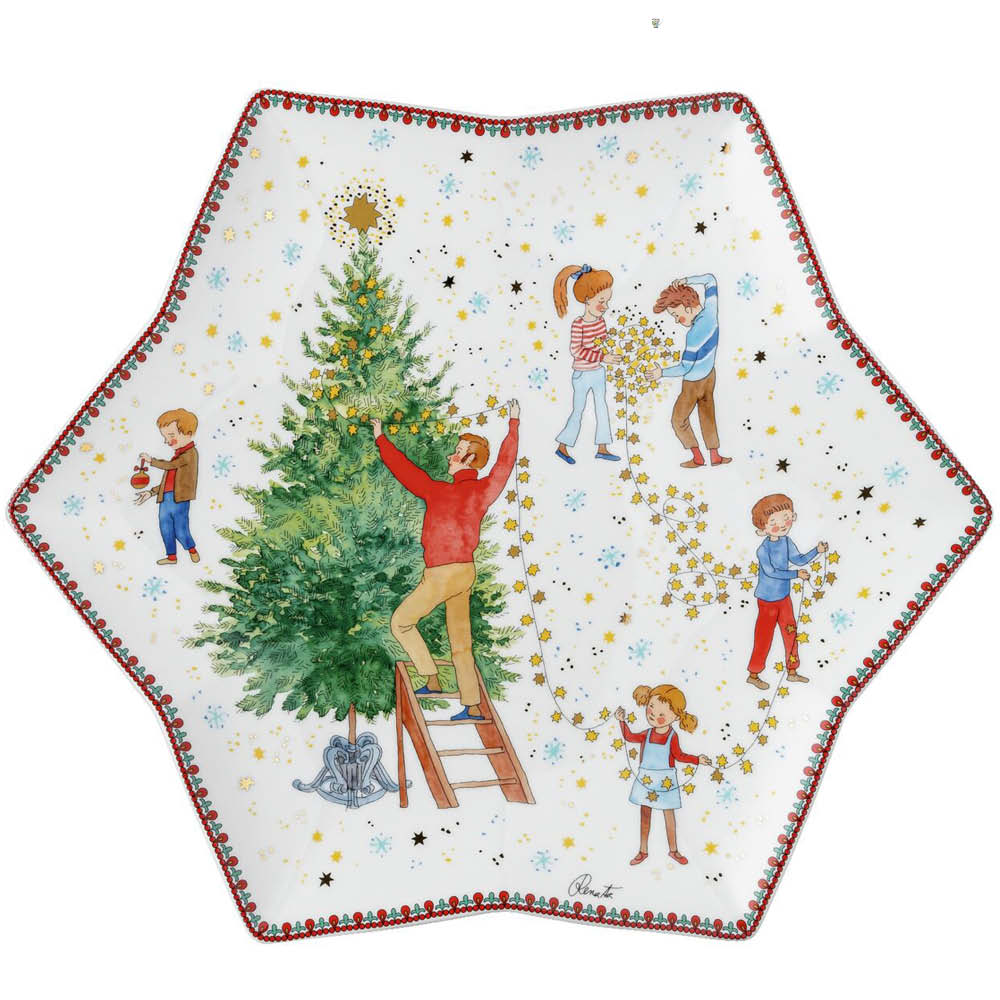 Hutschenreuther Sternenschale "Weihnachtsleuchten" 641741