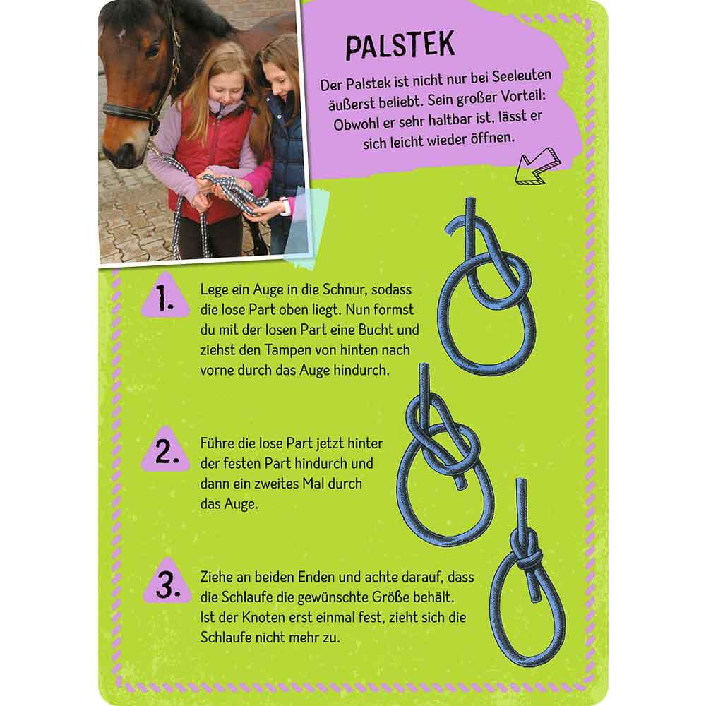 Moses Die große Box der Knoten "Expedition Natur"