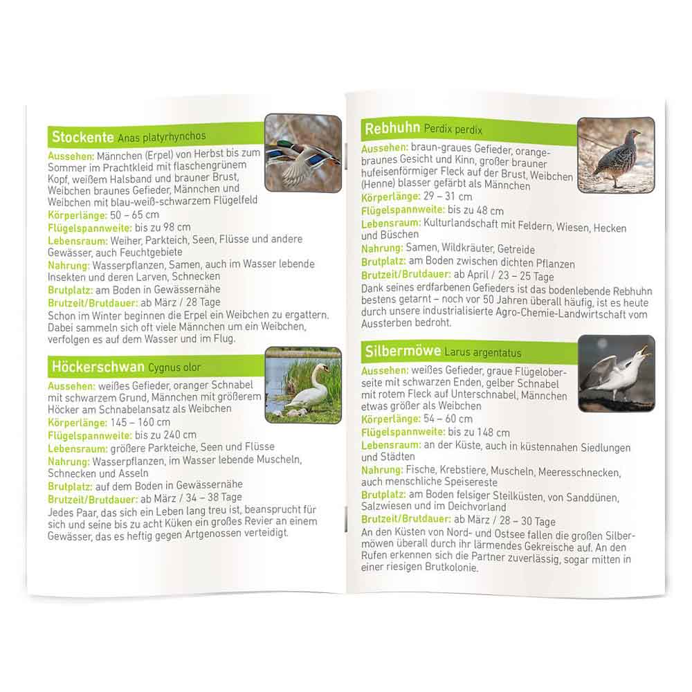 Moses Taschenlampe Diashow EXTRA - Unsere Vögel "Expedition Natur"