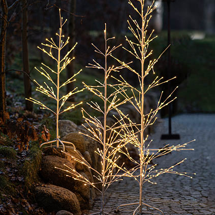 2024_BRANDSHOP_PAGE_423x424px_Sirius2