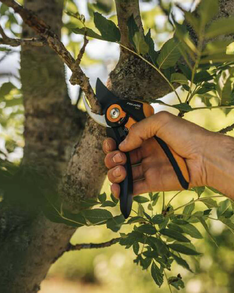 2025_BLOG_2erBox_800x1000px_zurckschneiden2