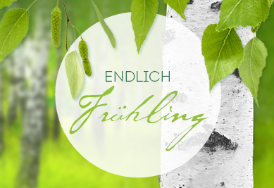 2024_WEB-BOX_Themenseite_389x267px_Fruhling