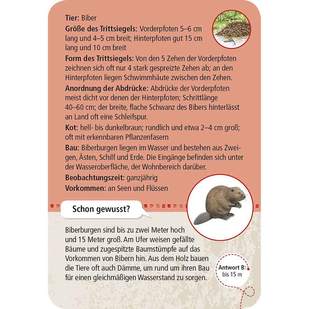 Moses Kartenset 50 Tierspuren "Expedition Natur"