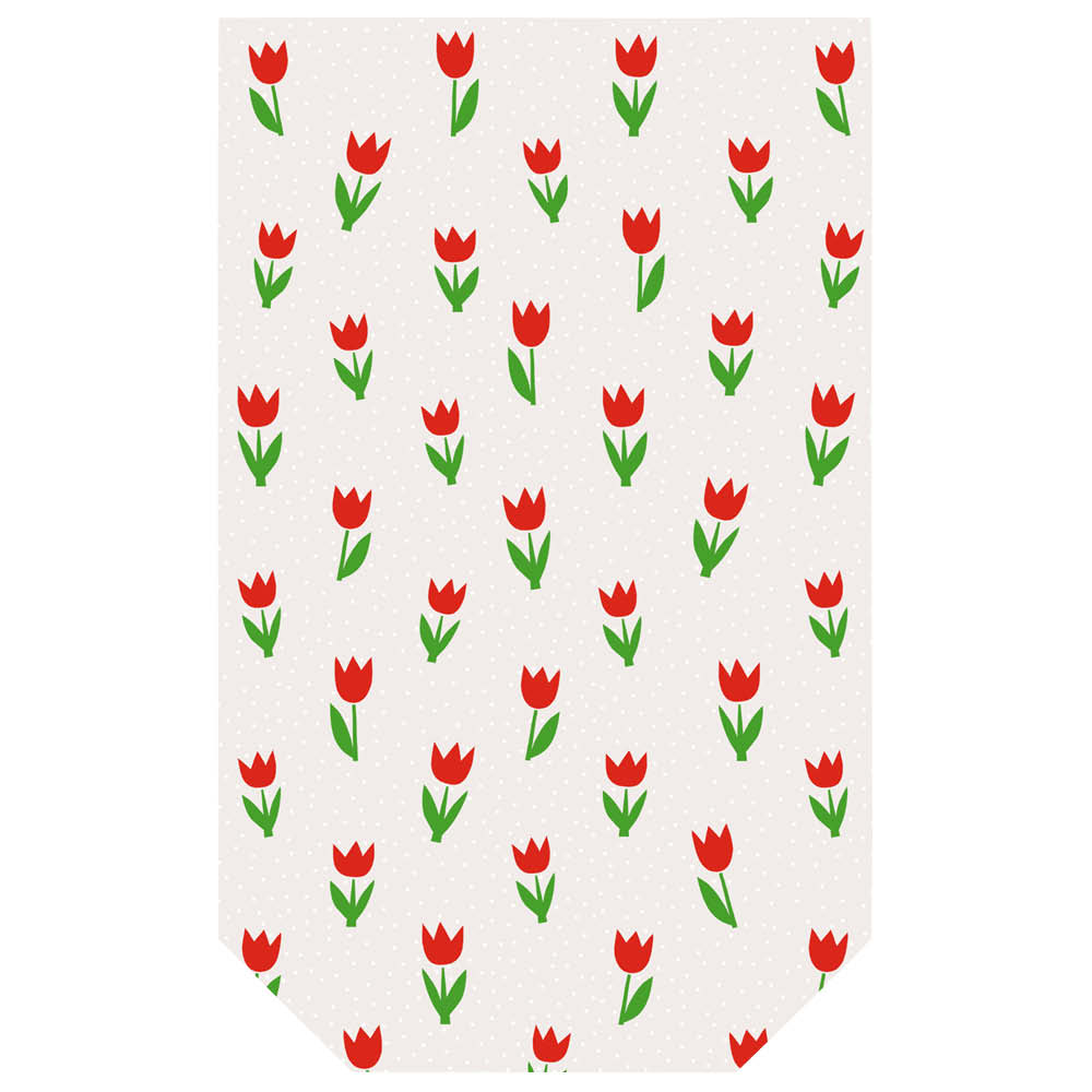 Braun + Company Klarsichtbeutel mit Clips 638016