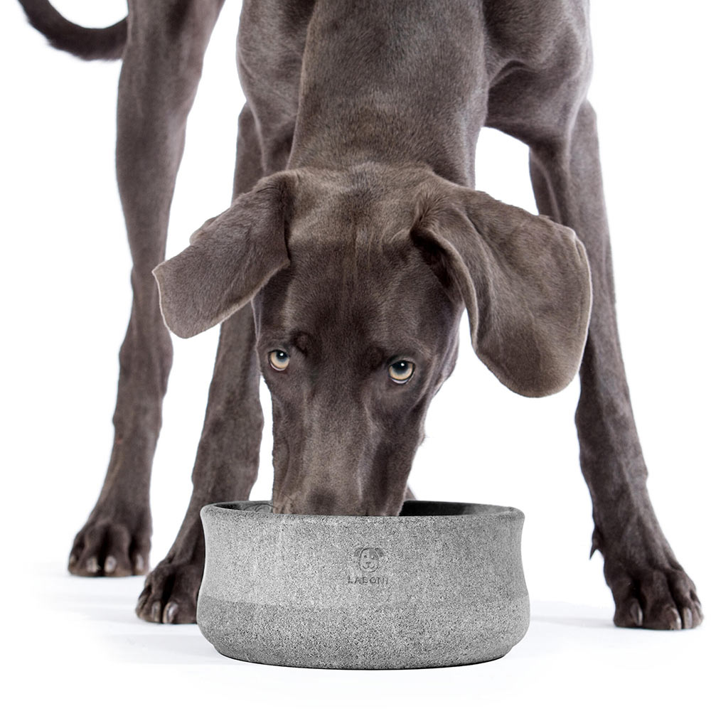 edel-napf_rocky_stein_6