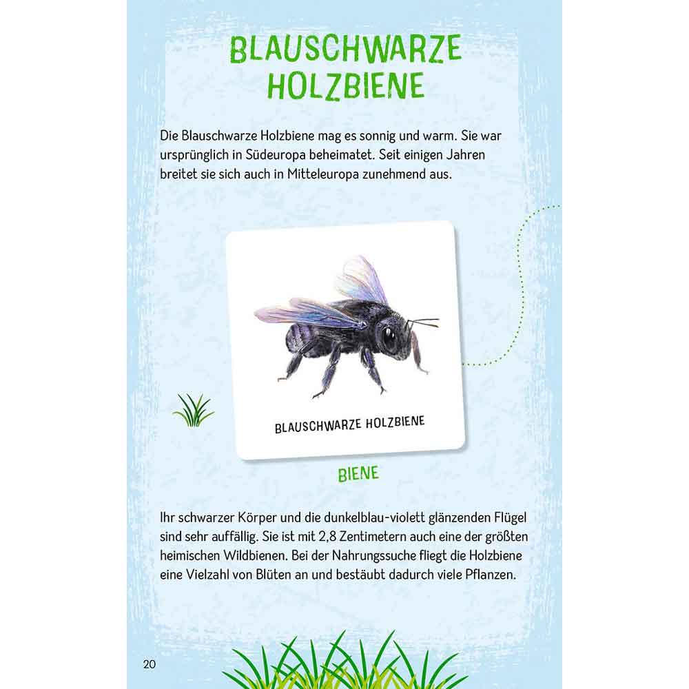 Moses Das große Insekten Memo "Expedition Natur"