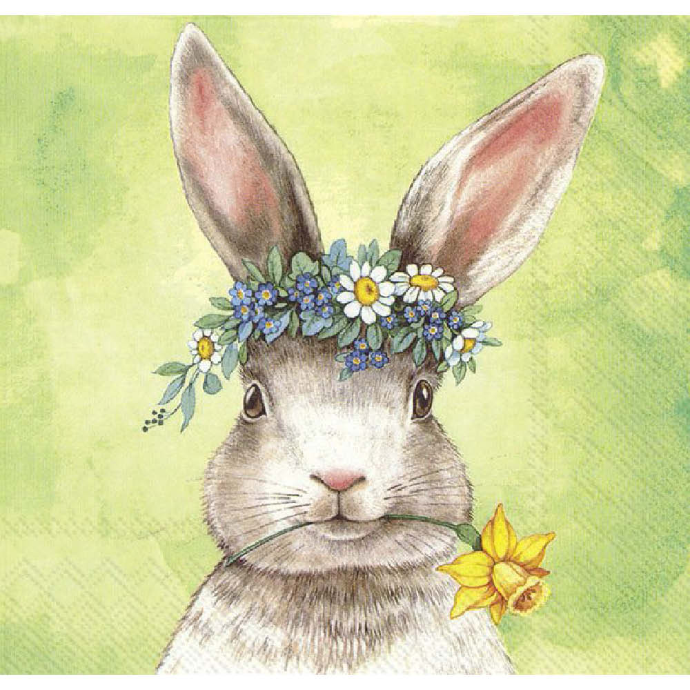 IHR Servietten "Easterfriends Bunny" 585526