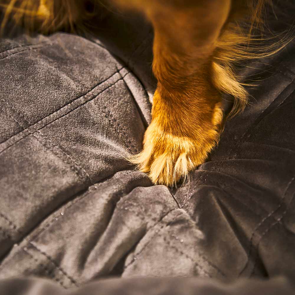 4102s-200_1_hundebetten_classic_oxford_s-m-l_stone_3p18fpwazqubuj