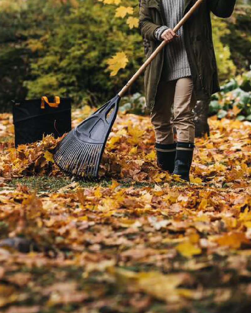2025_BLOG_2erBox_800x1000px_Laubentfernen2_(1)
