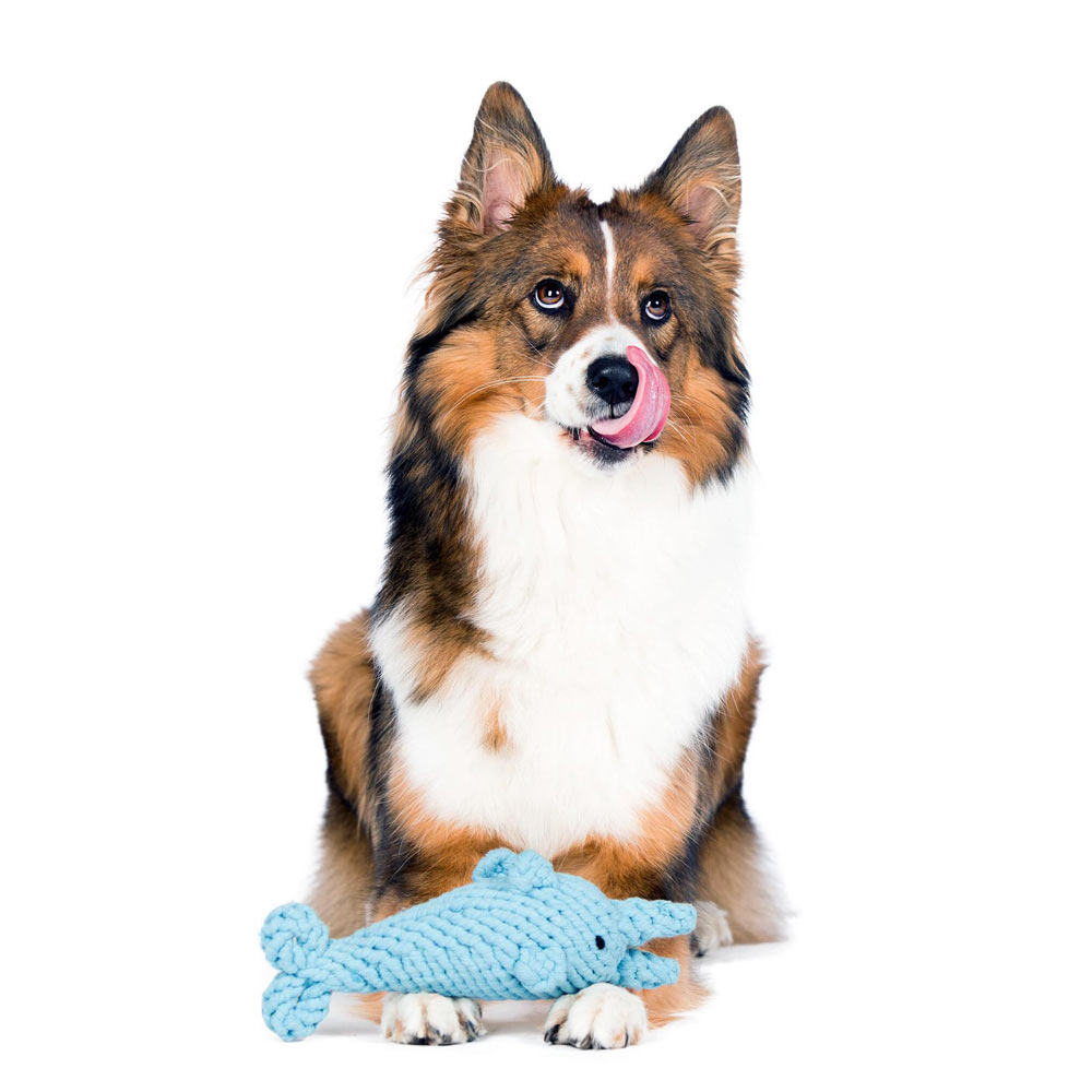 Laboni Hundespielzeug 591272