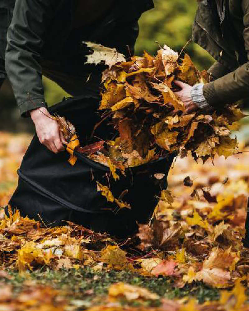 2025_BLOG_2erBox_800x1000px_Laubentfernen3