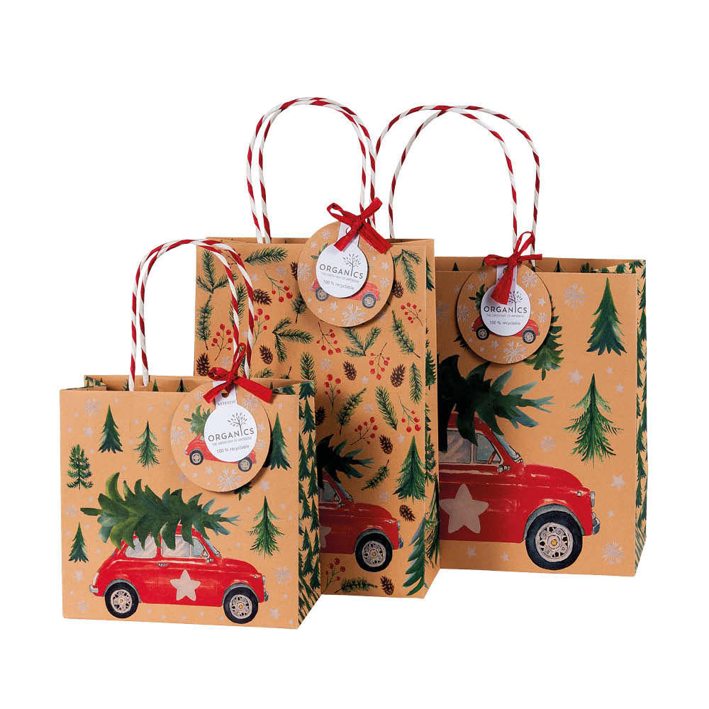 Artebene Geschenktasche "Auto" 630284