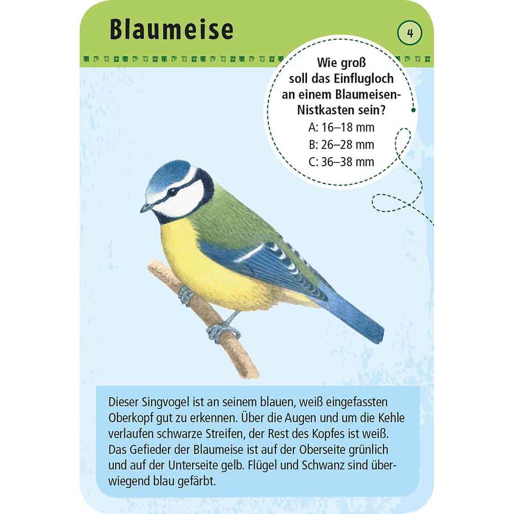 Moses Kartenset - 50 heimische Vögel "Expedition Natur"