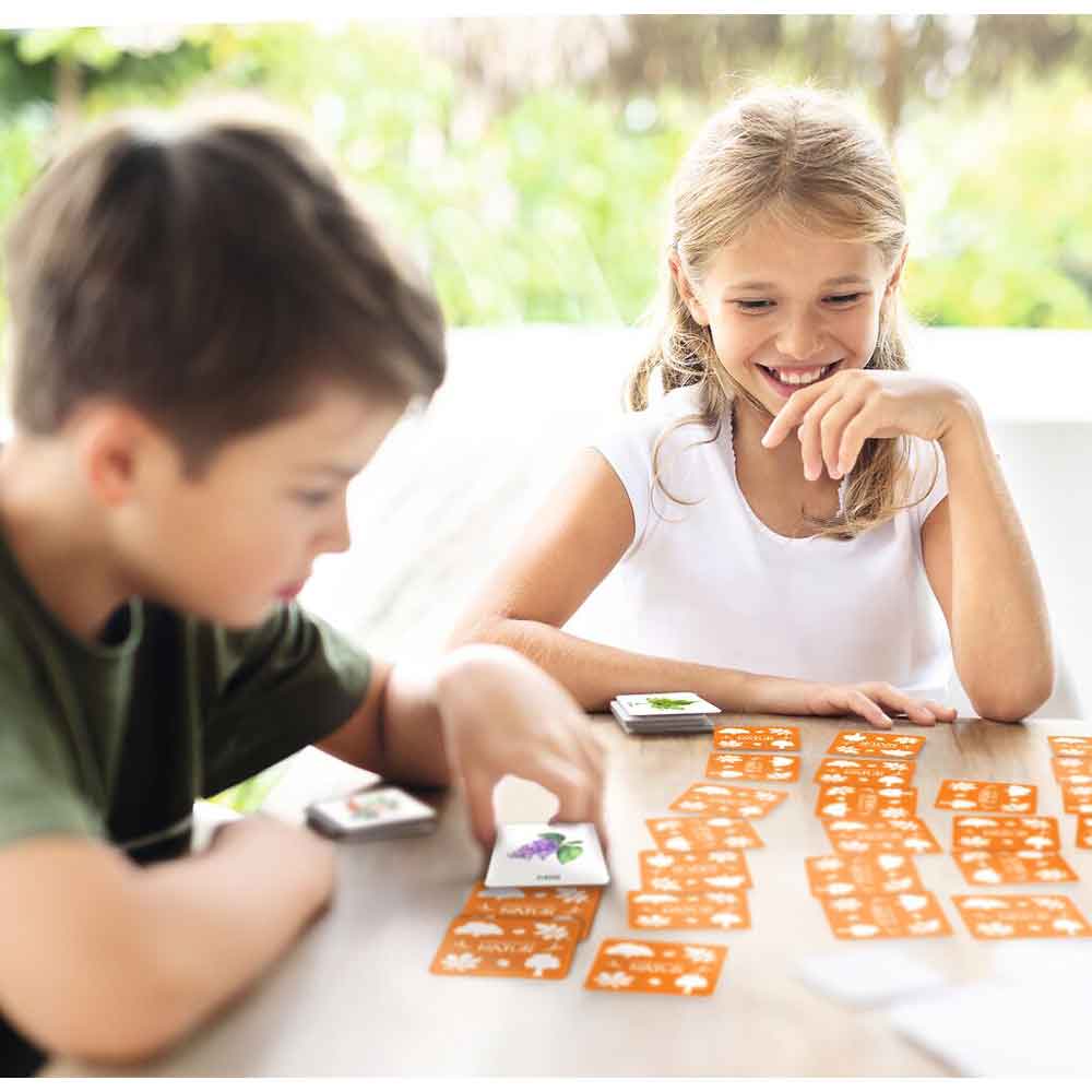 Moses Das große Bäume & Sträucher Memo "Expedition Natur"