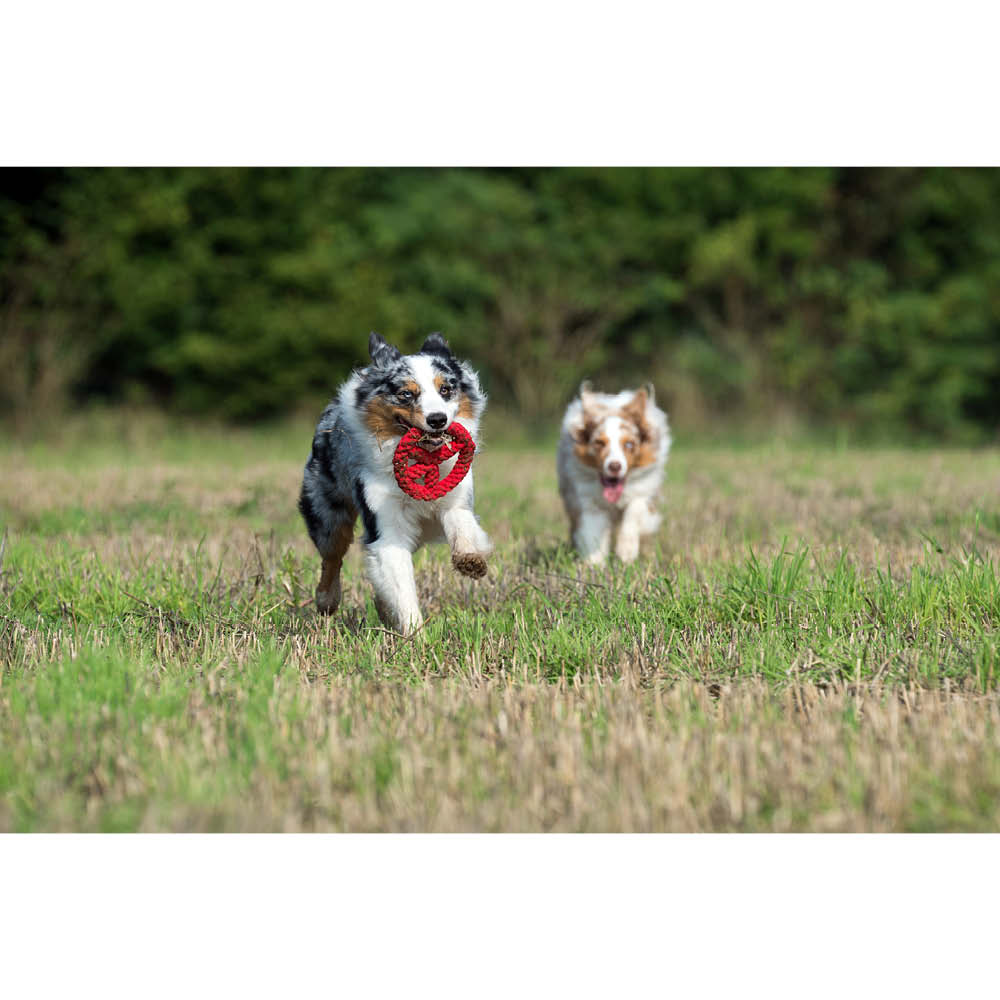 Laboni Kultspielzeug für Hunde "Paula Peace" 591306