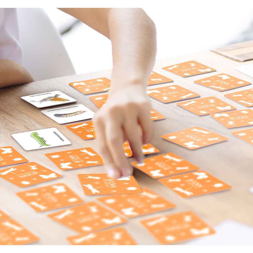 Moses Das große Insekten Memo "Expedition Natur"