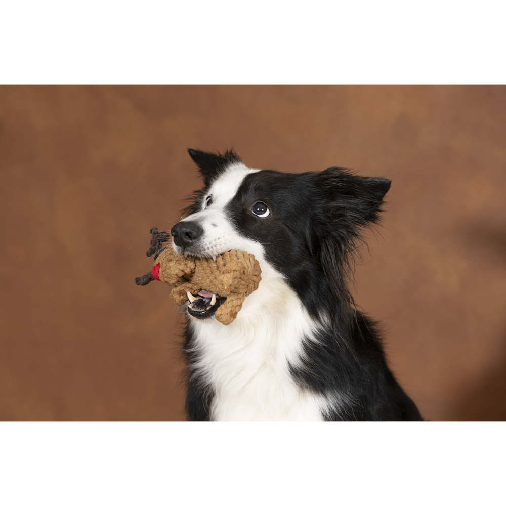 Laboni Kultspielzeug für Hunde "Rudi Rentier" 633719