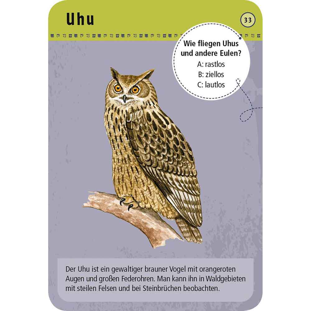 Moses Kartenset 50 Tiere der Nacht "Expedition Natur"