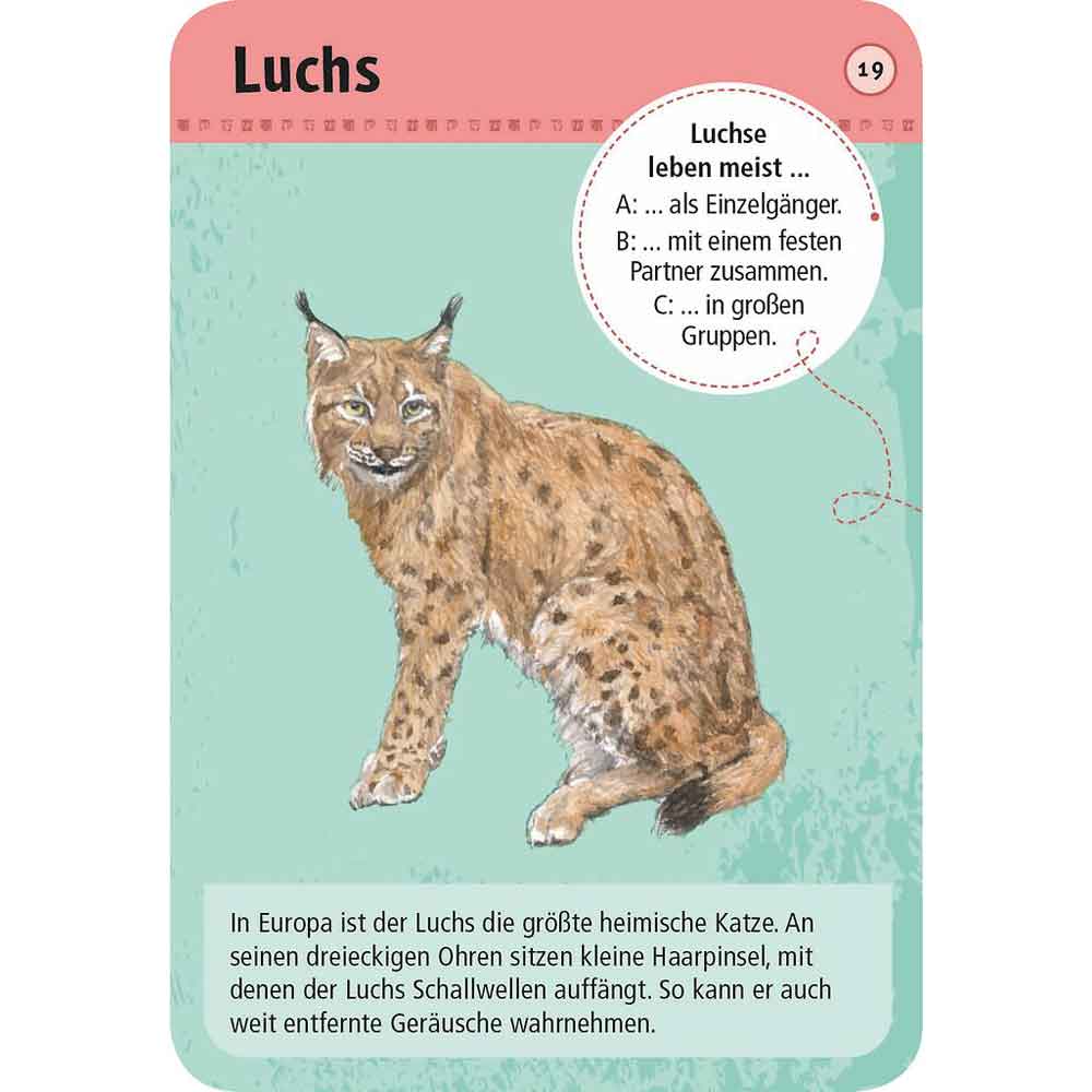 Moses Kartenset 50 heimische Wald- & Wildtiere "Expedition Natur"