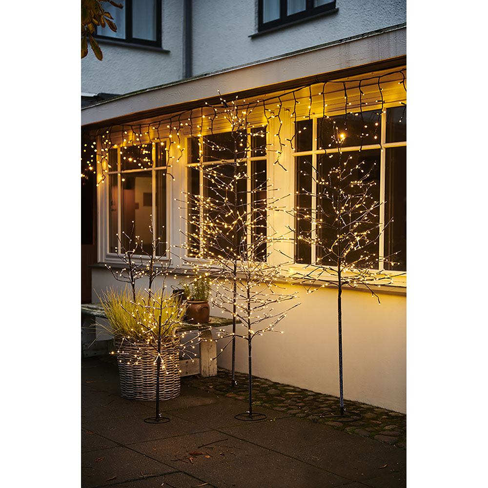 Sirius Alex Tree 532635