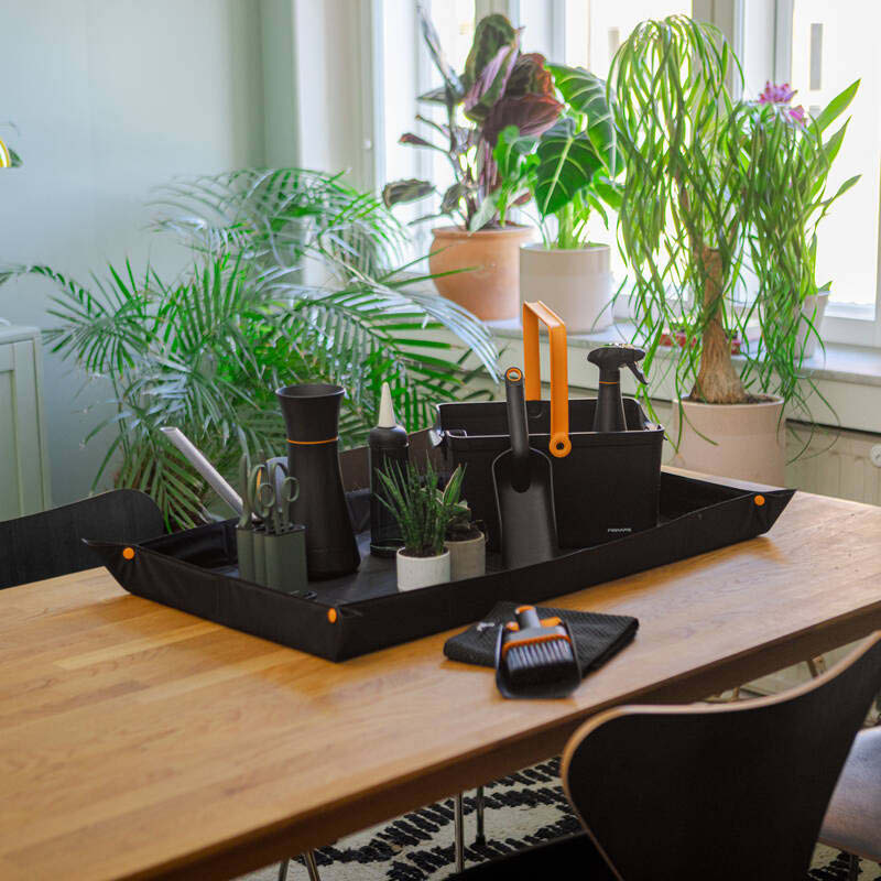 2025_BLOG_Bild_Text_800x800px_Pflanzenwinterfest