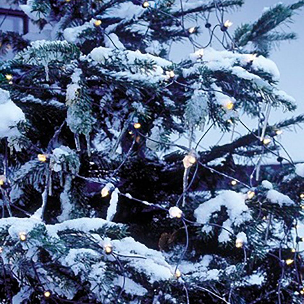 Dekolicht Tech-Line NET, 196 LEDs 3x3m+1.5m 434101