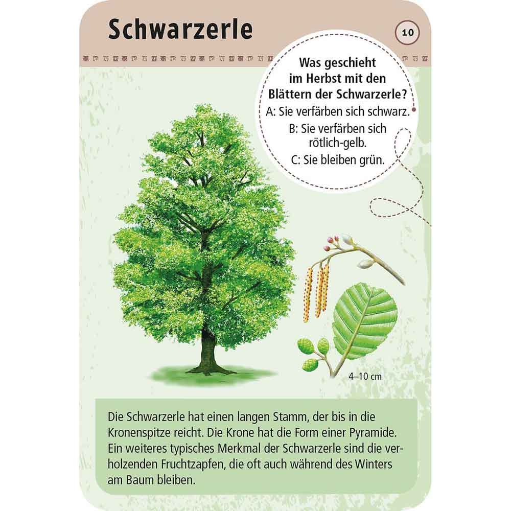 Moses Kartenset 50 heimische Bäume "Expedition Natur"