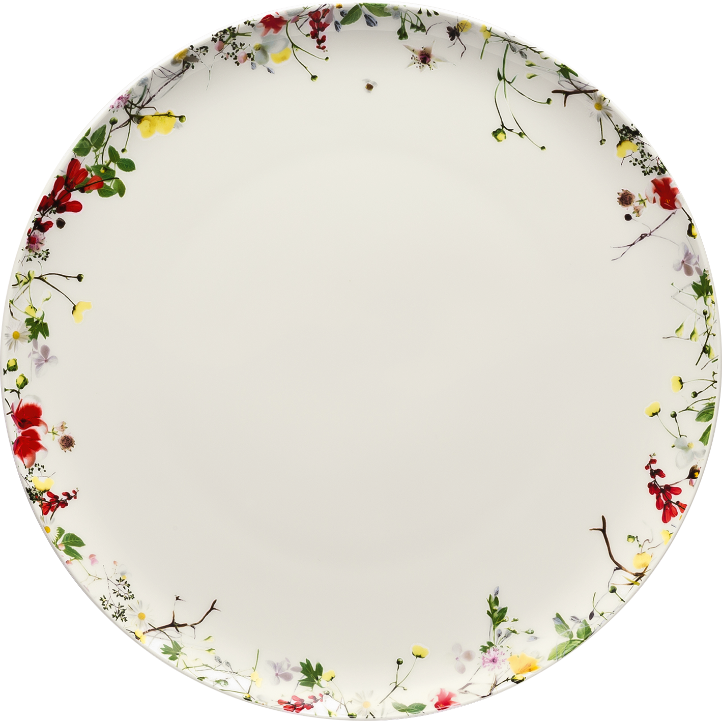 Rosenthal Speiseteller 27cm "Brillance Fleurs Sauvages" 470628