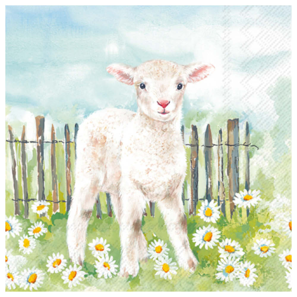 Lamb in the Meadow