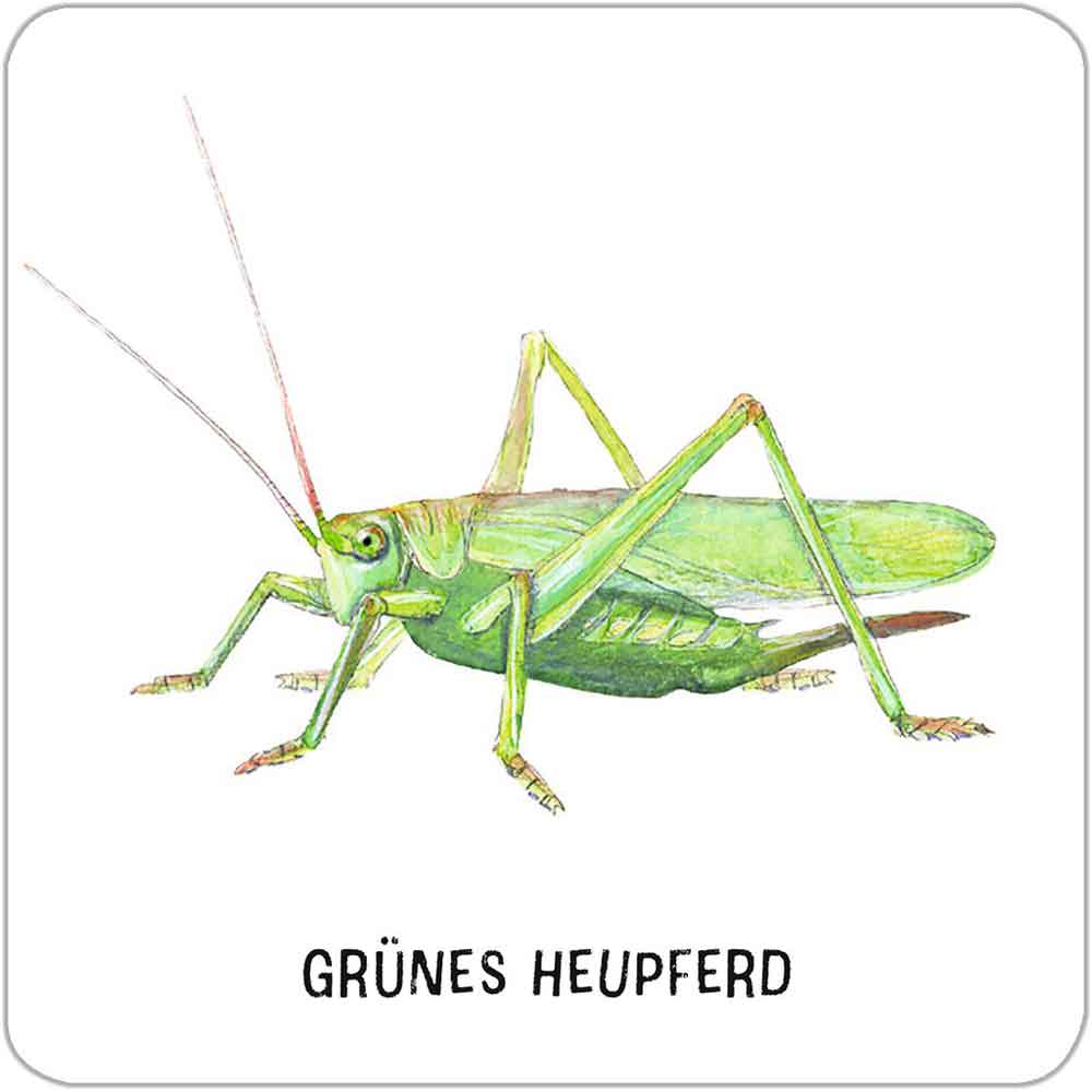 Moses Das große Insekten Memo "Expedition Natur"