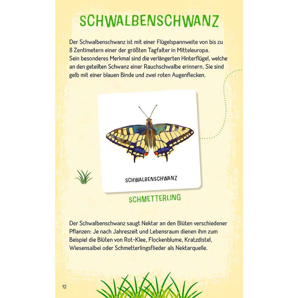 Moses Das große Insekten Memo "Expedition Natur"