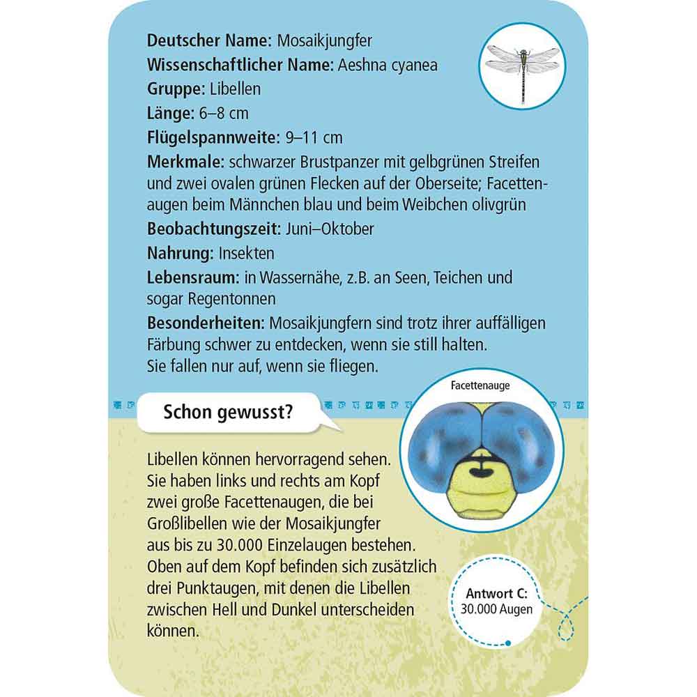 Moses Kartenset - 50 heimische Insekten & Spinne "Expedition Natur"