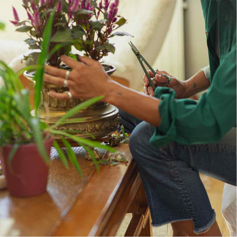 Fiskars Pflanzschere klein 654910