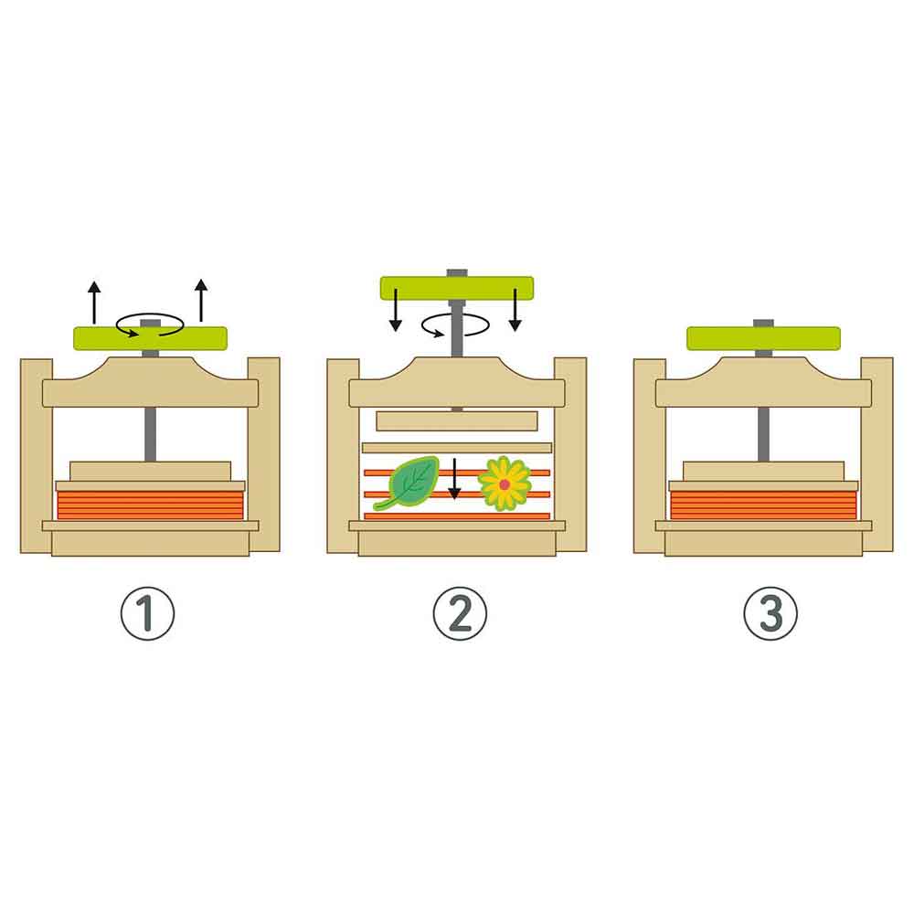 Moses Blatt & Blütenpresse "Expedition Natur"