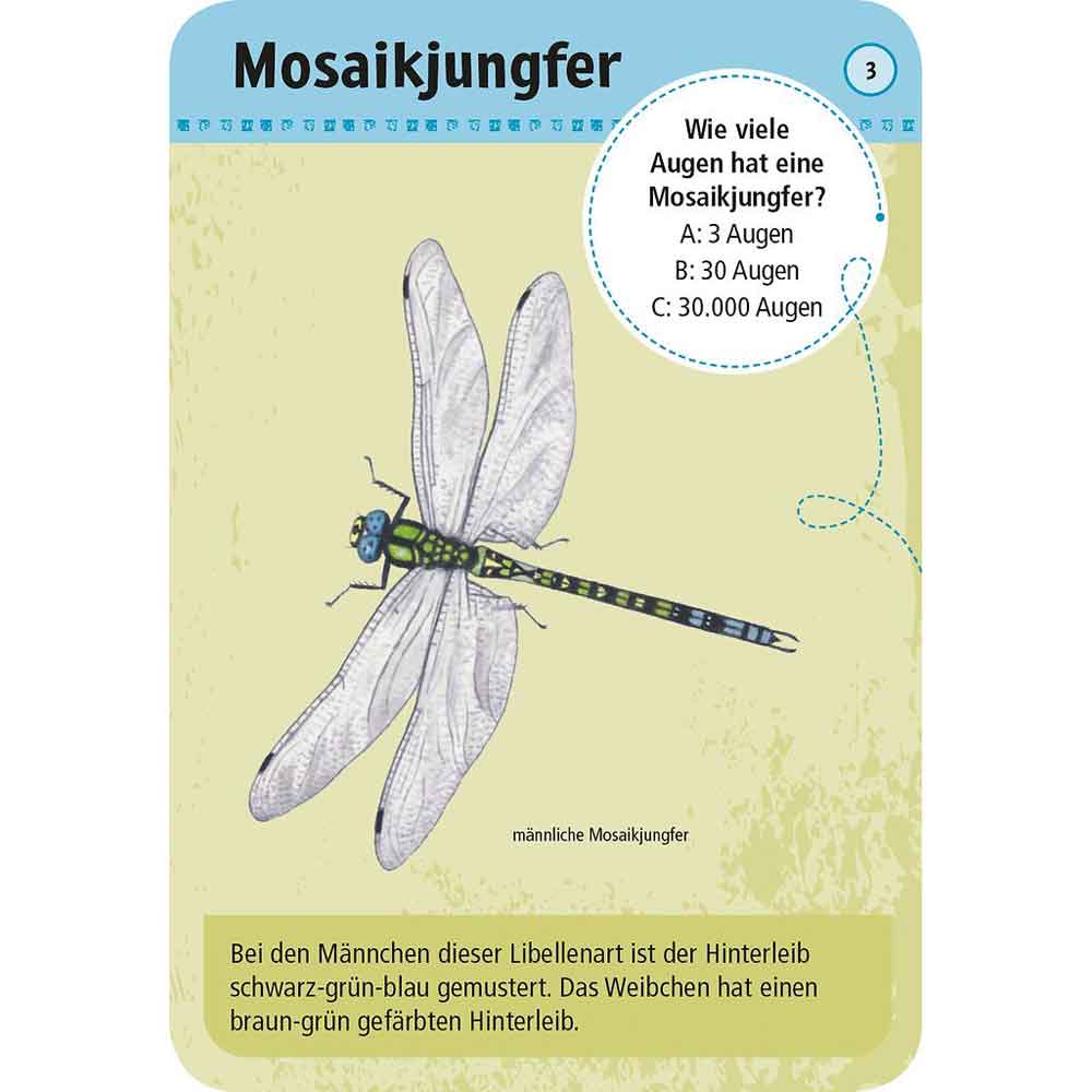 Moses Kartenset - 50 heimische Insekten & Spinne "Expedition Natur"
